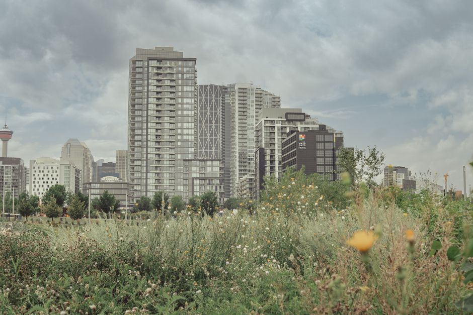 Calgary skyline with meadow — rapid cash loans available across Alberta
