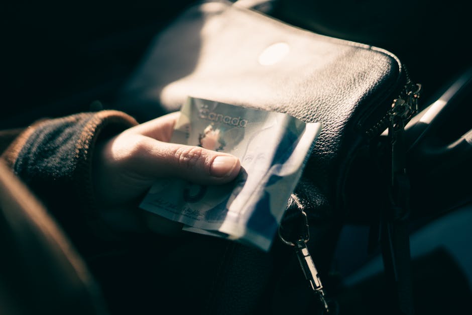 Person holding a Canadian five-dollar bill - rapid cash loans Canada