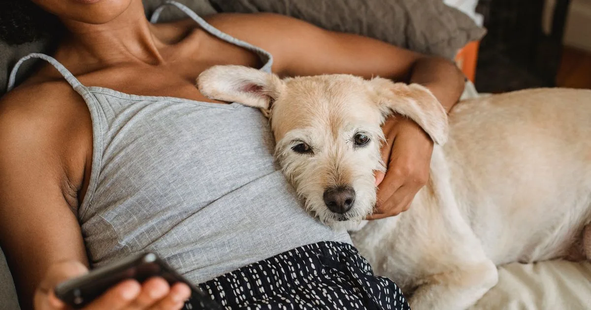 Pet owner applying for emergency vet loans on her phone with her dog