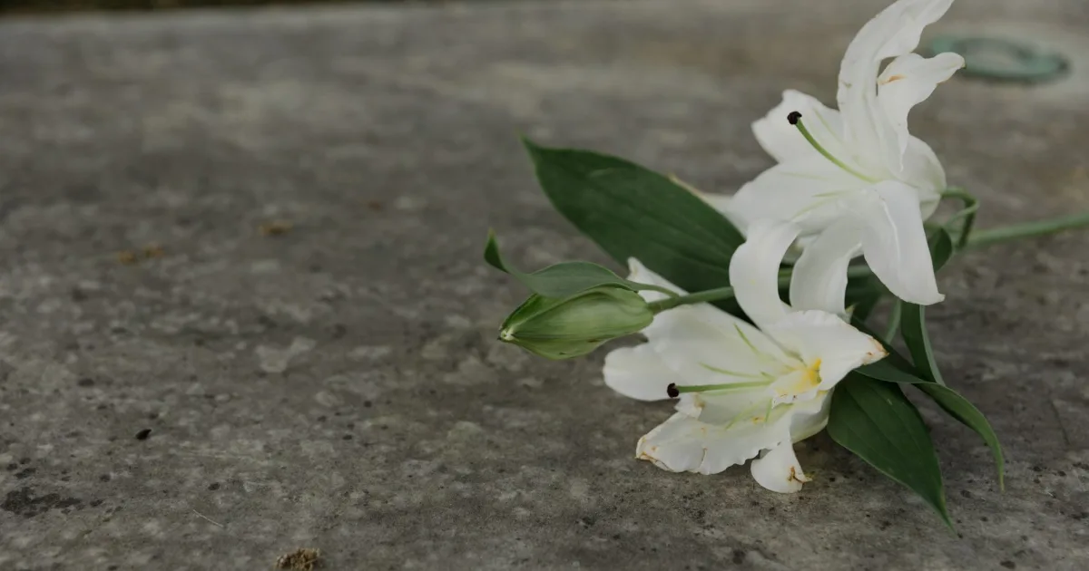 White lilies resting on stone - funeral expense loans in Canada